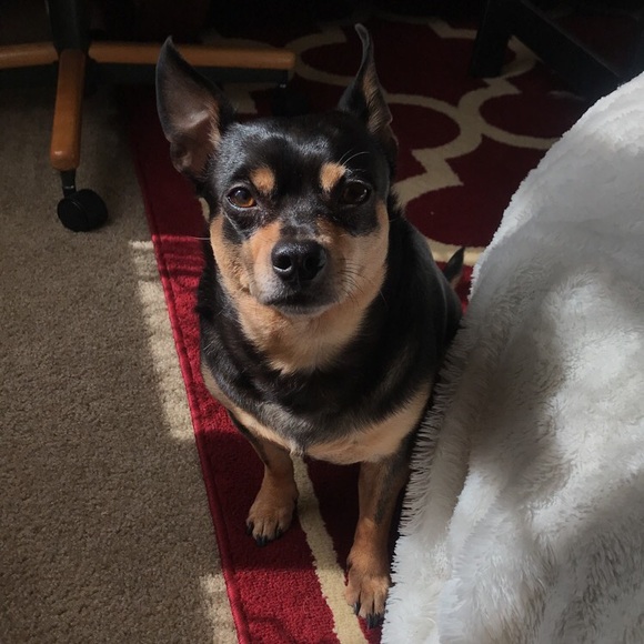 Meet your Posher, Feney - Picture 2 of 3